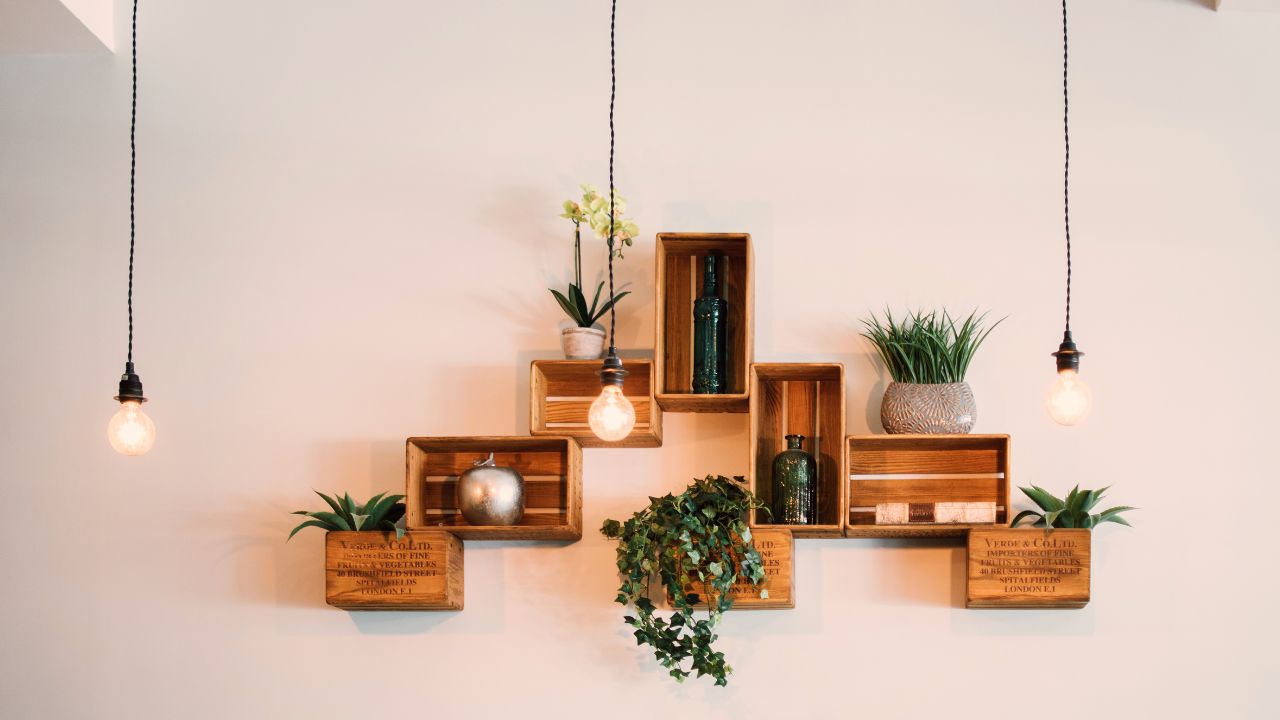 Wall Decorators in Faridabad